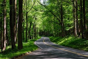 weekend getaways from bangalore