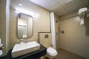 Basic room restroom (1)