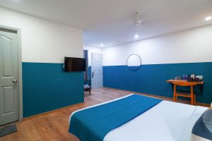 Deluxe room (5)