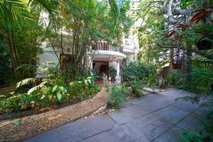 Garden (1)