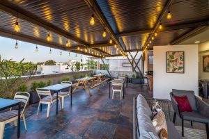 Terrace (5)